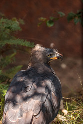 Similar image 13231974