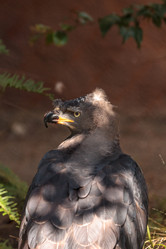 Similar image 13231979