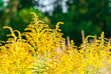 Similar image 13216328