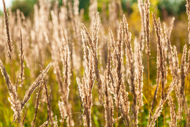 Similar image 13216329