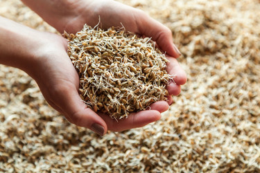 Similar image 13216332