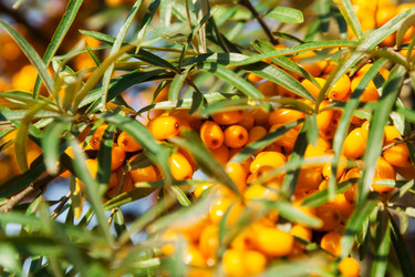 Similar image 13216334