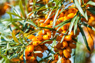 Similar image 13216335