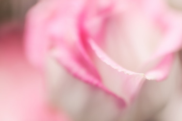 Similar image 13216701