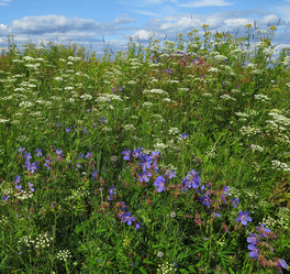 Similar image 13224123