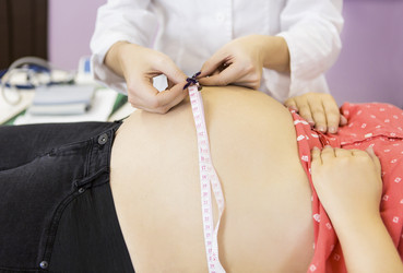 Similar image 13211542