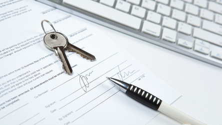 Similar image 13217399