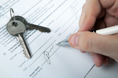 Similar image 13217079