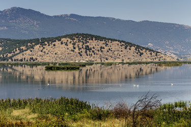 Similar image 13231489