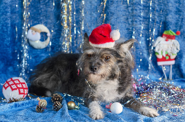 Similar image 13215782