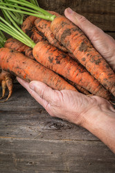 Similar image 13216642