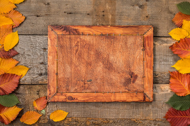 Similar image 13216647