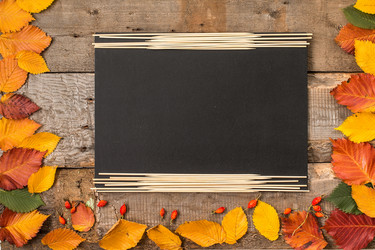 Similar image 13216648