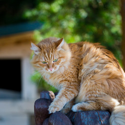 Similar image 13215824