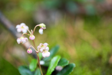 Similar image 13215828