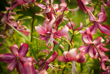 Similar image 13216562