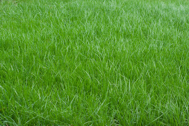 Similar image 13216575