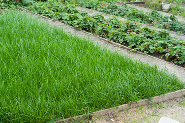 Similar image 13216576