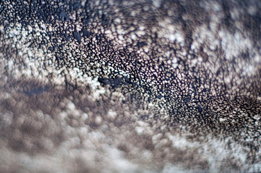 Similar image 13216783