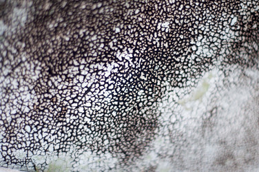 Similar image 13216784