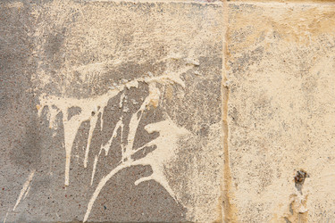 Similar image 13216788