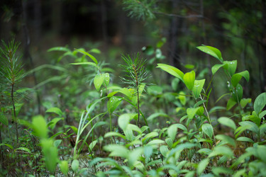 Similar image 13215817