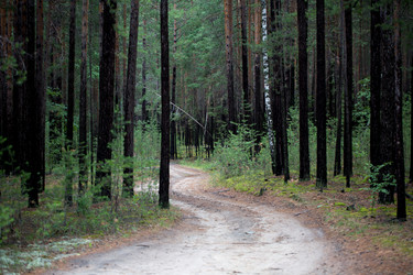 Similar image 13215818