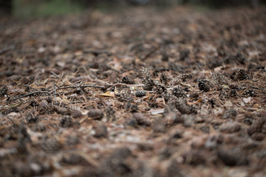 Similar image 13215820