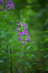 Similar image 13215822