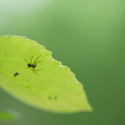 Similar image 13215823