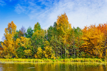 Similar image 13225391