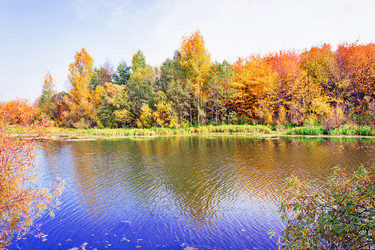 Similar image 13225393