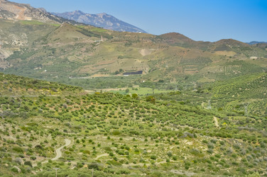 Similar image 13222984