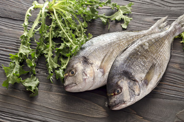 Similar image 13231490