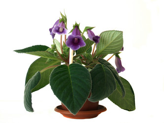 Similar image 13231253