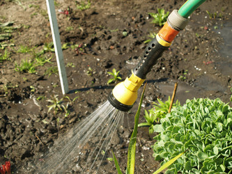 Similar image 13231074