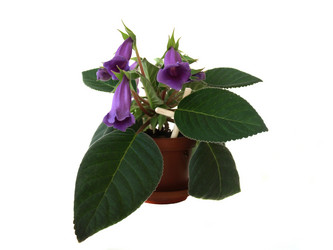 Similar image 13231254