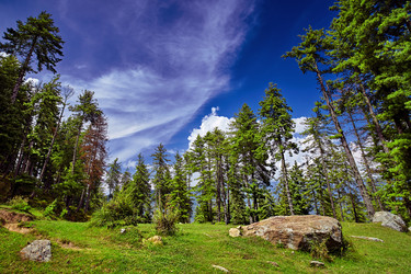 Similar image 13217629