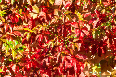 Similar image 13241398