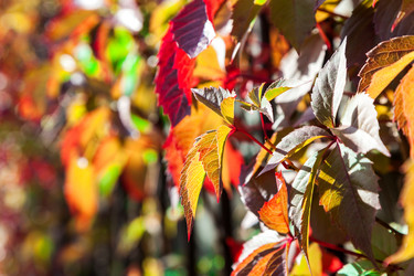 Similar image 13241401