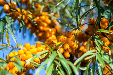 Similar image 13241402