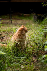 Similar image 13223564