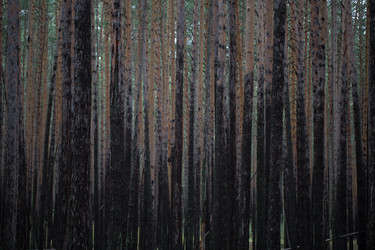 Similar image 13223594