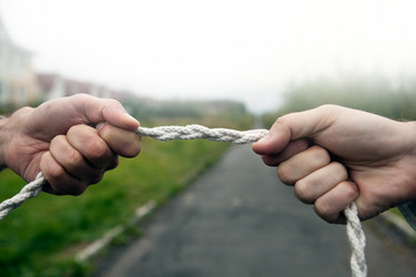 Similar image 13225277