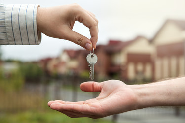 Similar image 13225281