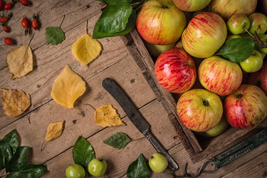 Similar image 13228288