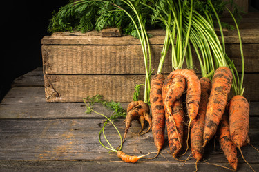 Similar image 13228322