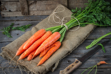 Similar image 13228323