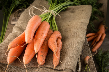 Similar image 13228324