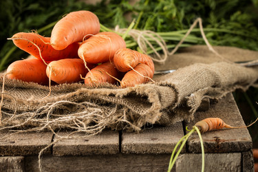 Similar image 13228325